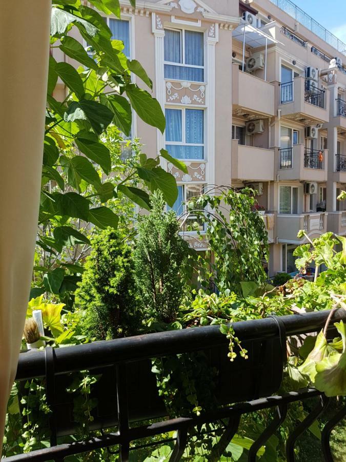 Guesthouse Zanier ネセバル エクステリア 写真