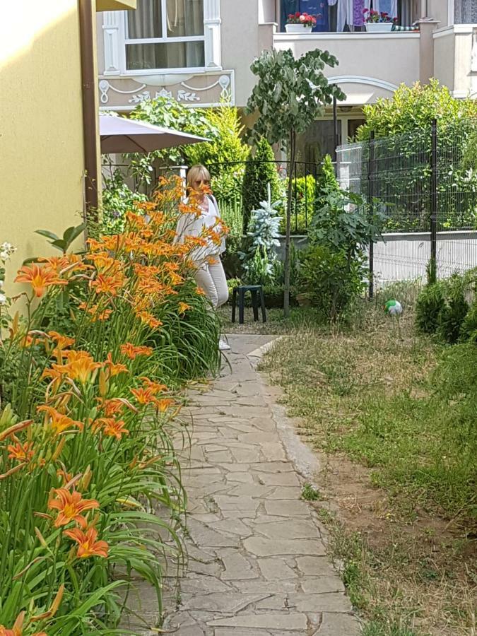Guesthouse Zanier ネセバル エクステリア 写真